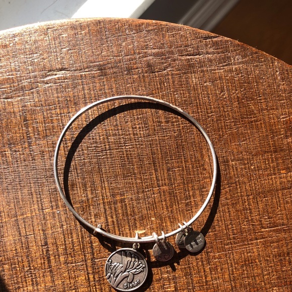 Two Alex and Ani bracelets the Sister and Butterfly Bracelets - Picture 6 of 8